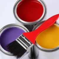 Интерьерная краска - виды, объекты применения, как выбрать, как наносить